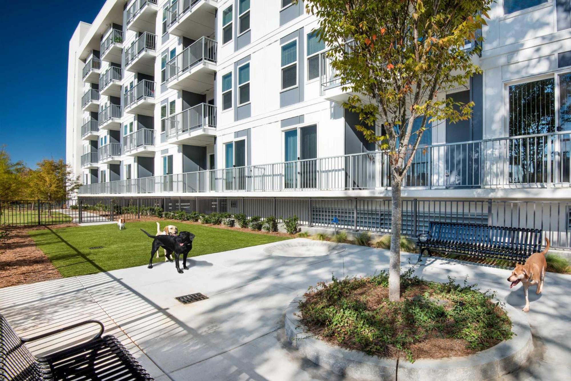 Spectacular Apartments By Bca Furnished Apartments Atlanta Oda fotoğraf